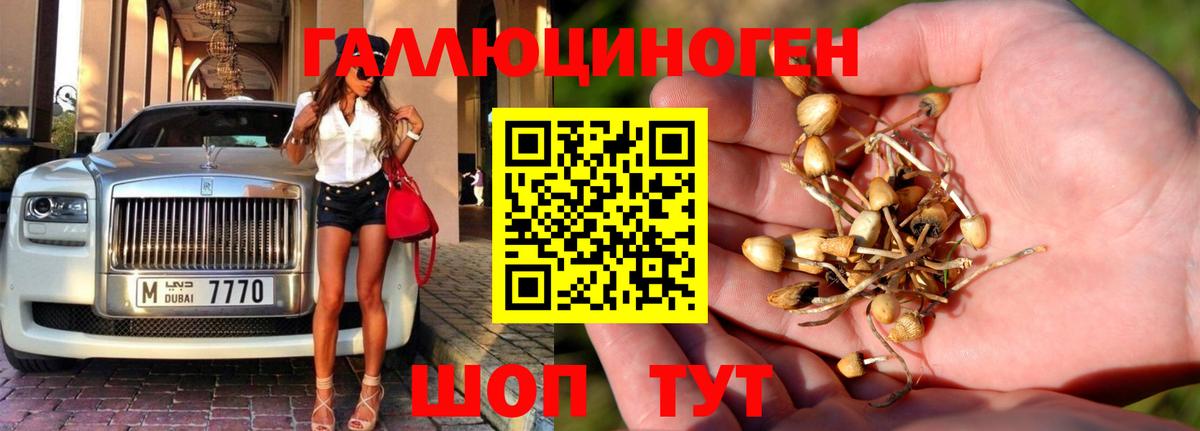 Псилоцибиновые грибы Magic Shrooms  Вход с VPN  Кирово-Чепецк 